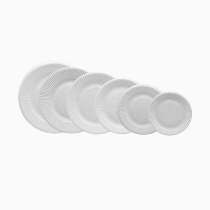 High-Quality Disposable Paper Plates | coming soon...